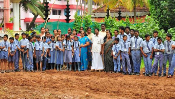 Vegetable Cultivation